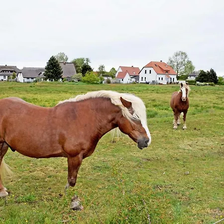 Pansiyon Plogshagen_hiddens